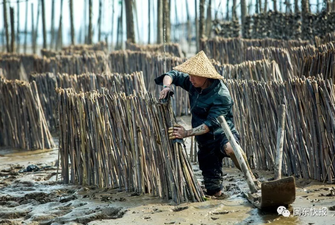 QQ截图20200119123246.png